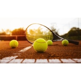 Karrma Ltd. KARRMA.| Tennis Balls Pack of 6 | Sturdy & Durable Tennis Cricket Sport Dog Toy Play Ball Ideal For Practice Training Exercise Pets Kids Adults and Throwing Machines