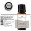 Plant Therapy Nutmeg Essential Oil 10 mL (1/3 oz) 100%