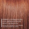 PRAVANA ChromaSilk Tono 8.43 Light Golden Blonde Tinte Permanente 90ml