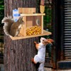 ChezMax Squirrel Feeder with Auto Water Bottle for Outside Winter,