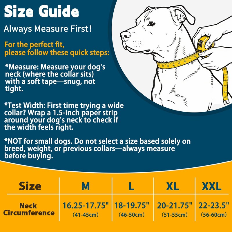 No Pull Martingale Collar for Medium Large Dogs Precision Fit