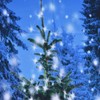 Christmas Tapestry Exquisite Christmas Tree Pattern Wall Hanging Blanket for