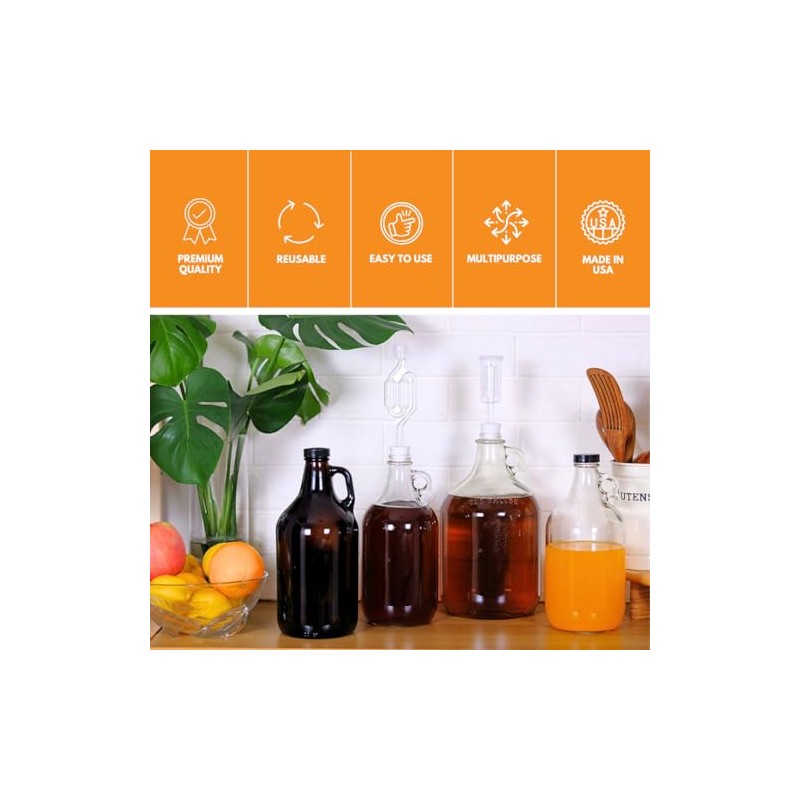 Fastrack 4-Pack 1 Gallon Glass Jug Set (128 oz) w/