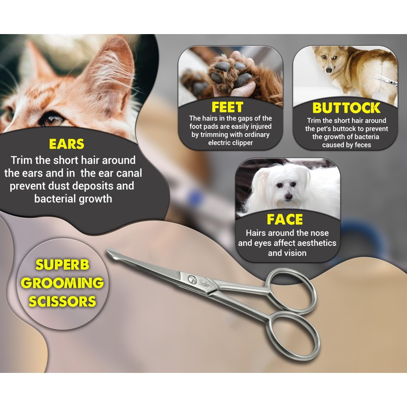 Probe Curved Safety Ball Nose Scissors 4" Pet Face Ear