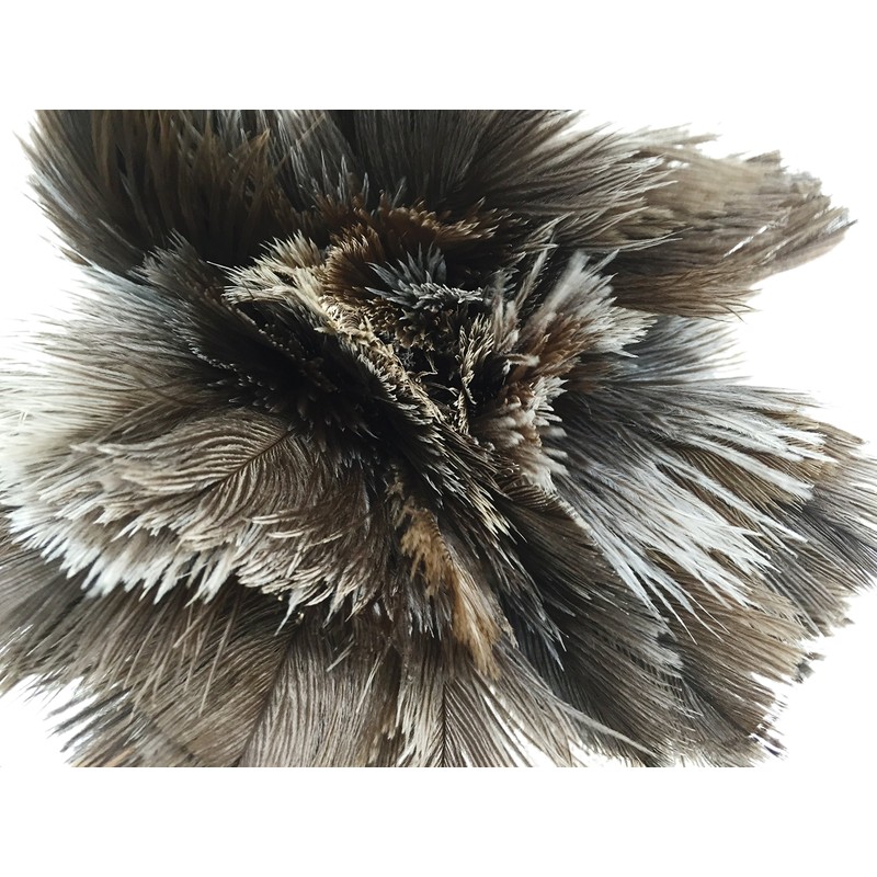 35cm 14'' Premium Quality Genuine Ostrich Feather Duster – Attracts