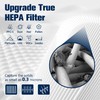 Blue Pure 311 AUTO Filter Replacement for Blue Pure 311