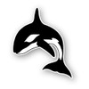 Orca Killer Whale - 3" Vinyl Sticker - for Car