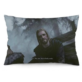 DISHILU You're Finally Awake Pillow Cover Sofa Game Pillowcase Home Decorative Throw Couch for Bedroom 12x20 Inch, Style