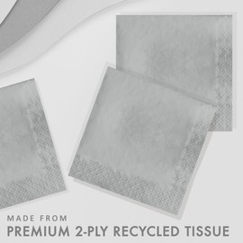 Creative Converting Touch of Color 2-Ply 50 Count Paper Lunch Napkins, Shimmering Silver