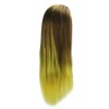 Hair Mannequin Head Simulation Ink Yellow Colour Mixture Gradient Hair