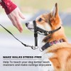 Candofly Dog Headcollar Adjustable Dog Head Halter Stops Heavy Pulling