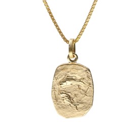 trendor Pisces Zodiac Sign Gold 333 / 8K with Gold-Plated Silver Chain Zodiac Sign Pendant for Men or Women Timeless Necklace 15382-03-40 40 cm, Gold