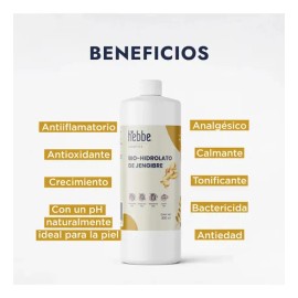Tonico Hidrolato De Jengibre Facial Y Corporal 500 Ml Todo Tipo De Piel Día/noche