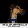 TwoEar Heavy Duty Dog Collar Reflective, Adjustable Nylon Pet Collar