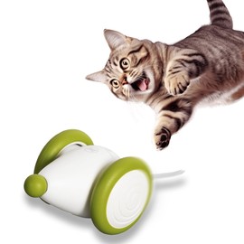 Cat Theater Cat Toy 2024 Edition Mouse Wicked Mouse Plus Play Alone Electric Cat Prank Friend (Green)