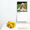 English Cocker Spaniels | 2024 12 x 24 Inch Monthly