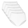 Speidel 9826 Women’s Basic Waist Briefs, Pack of 5 -