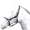 HKM by Reiterladen24 Basic Line Leather Headcollar Round Stitched Black