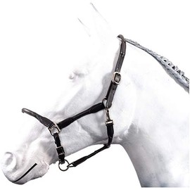 HKM by Reiterladen24 Basic Line Leather Headcollar Round Stitched Black Thoroughbred