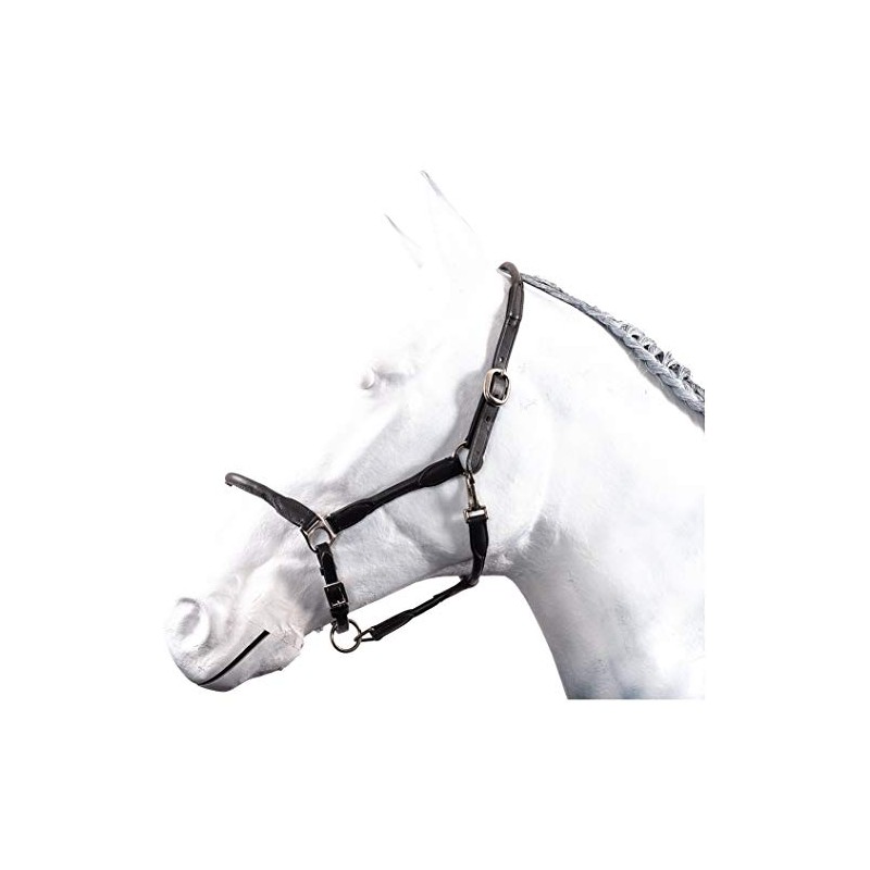 HKM by Reiterladen24 Basic Line Leather Headcollar Round Stitched Black