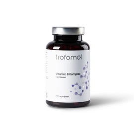 Vitamin B Komplex hochdosiert | alle 8 essenziellen B-Vitamine + PABA | für Energie, Nerven & Psyche | vegan, laborgeprüft, ohne Zusatzstoffe | 120 Kapseln