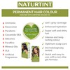 Naturtint Permanent Hair Colour Gel 6WG Radiant Golden Dark Blonde,