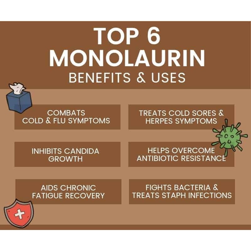 VITA PHARMA Monolaurin 1000mg 60 Capsules | Immune Support |