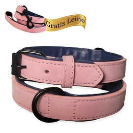 LUCON Dog Collar with Lead in Pink Set Collar for Puppies Small and Medium Dogs Leather Collar Padded Leather Dog Lead with Strong Carabia and Loop