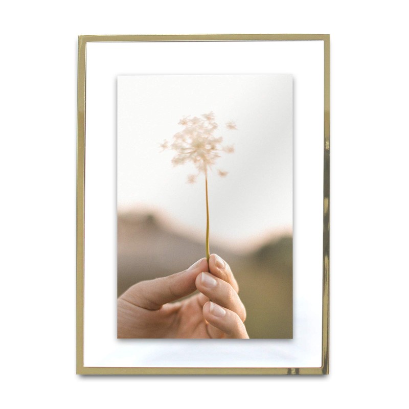 MIMOSA MOMENTS Brass Metal Floating 4x6 Picture Frame
