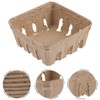 Alipis Pulp Fiber Berry Baskets 10Pcs Berry Boxes Picking Fruit