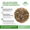 30 Bags Catnip Tea Catnip Herb Tea (Nepeta L.) -