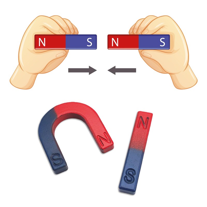 Set of 2 Educational Magnets - Horseshoe and Linear -