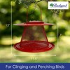 Backyard Essentials Collapsible Metal Mesh Bird Feeder with Tray -