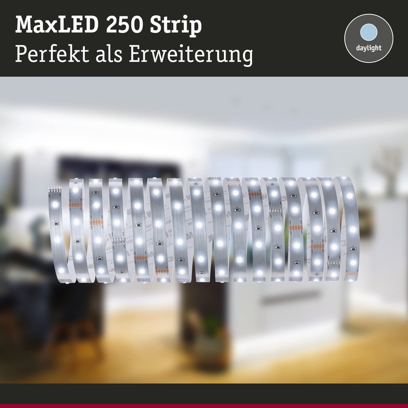 Paulmann MaxLED 250 Stripe 5 m Daylight IP20 6500K