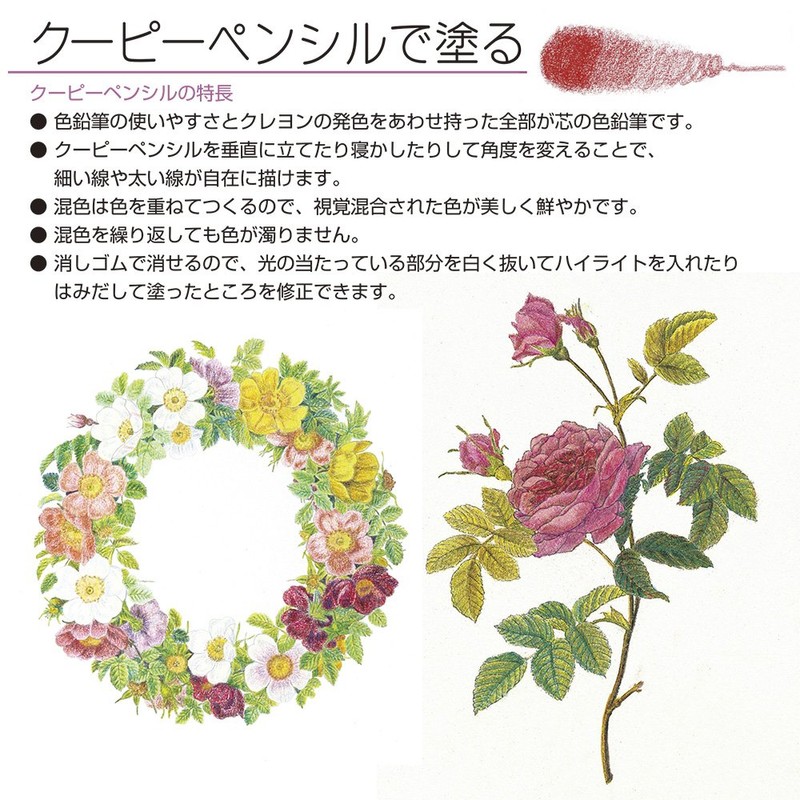 Sakura Coupy - Pencil Pastel Crayons, set