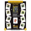 Discover Series Fun Playing Cards - Informational & Educational (Bear
