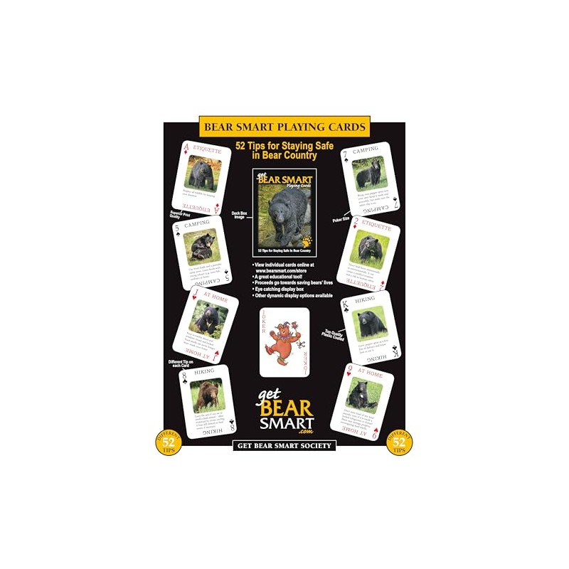 Discover Series Fun Playing Cards - Informational & Educational (Bear