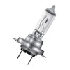 Osram 64210 H7 Halogen Headlight, 12 V, Original, White (White)