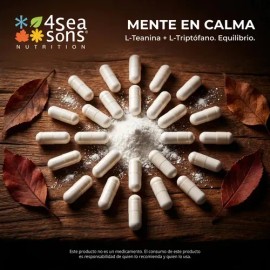 4 Seasons Nutrition | LIONS-MELÉ | Hongo Melena De León | 500 mg | Suplemento Alimenticio | Fórmula Avanzada | Sin Conservadores | Vegano, Sin Gluten, Sin Azúcar, Sin Soya | 240 Cápsulas