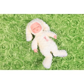 Newborn Photography Props, Use Soft 3D Rose Flower Backdrop Beanbag Rug to Create Memorable Kids Portrait Photography (Green)