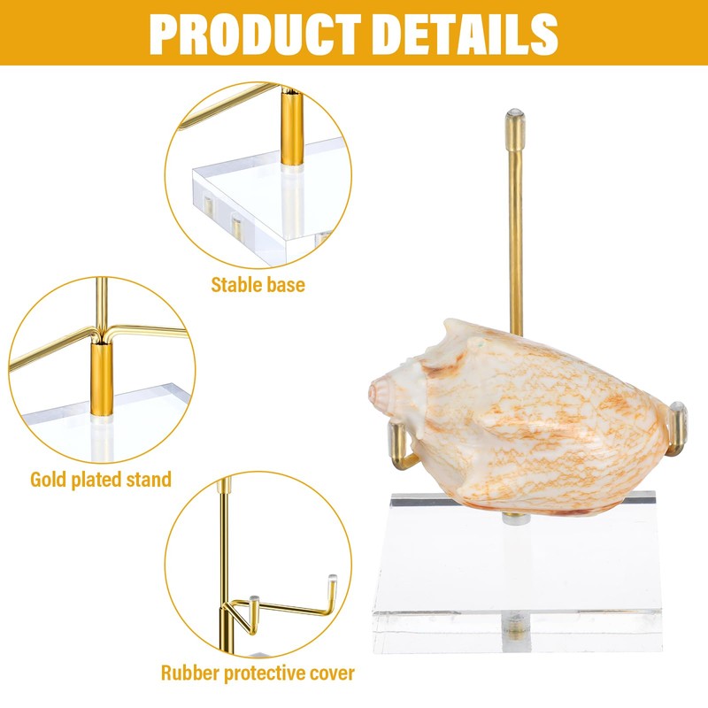 MAQUITA 6 Pcs Acrylic Easel Display Stand, Crystal Acrylic Easel