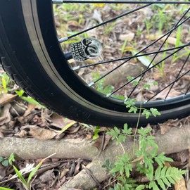 Temzzer Valve Stem Caps Skull Bike Tire Air Rim Covers for Most Vehicles Bicycles Motorcycles 4pcs,Silver