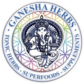 GaneshaHerbs 100% PURE AJUGA TURKESTANICA  HIGH POTENCY 50:1 EXTRACT 100 grams