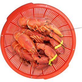 TrueCraftware- 18-1/2" x 5-3/4" Round Perforated Colander with Grip Handles- Strainer Basket Wash Vegetables Fruits Drain Cooked Pasta Food Strainer Drainer Basket Strainer Kitchen Essentials