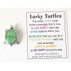 Ganz Mini Lucky Message Turtle "BELIEVE" Charm Token Figurine w/Poem
