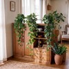 Juinte 3 Pcs Fake Hanging Plant with Pot Faux Pothos