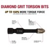 Disston Diamond Grit Screwdriving Insert Bit, 1 Slotted, 2 inch,