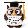 Graduation Gifts 2026, Crochet Owl with Grad Cap & Proud