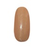 Prigel Gel Nail Color EX Pearl Beige 503