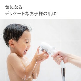 Takagi JSB222 Shower Head, Water Purifier, Chlorine Removal, Water Saving, Hand Stopping